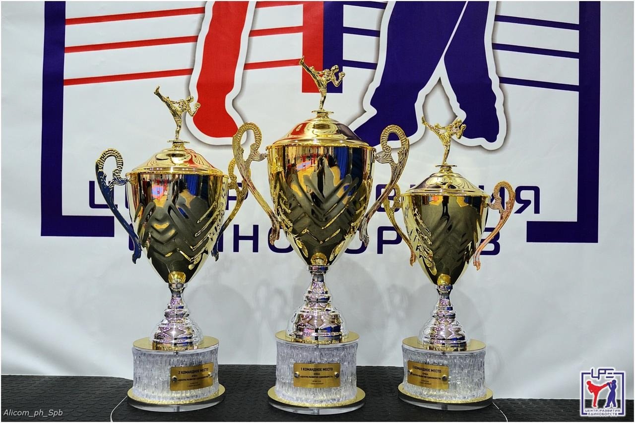 Фото 2 из 3